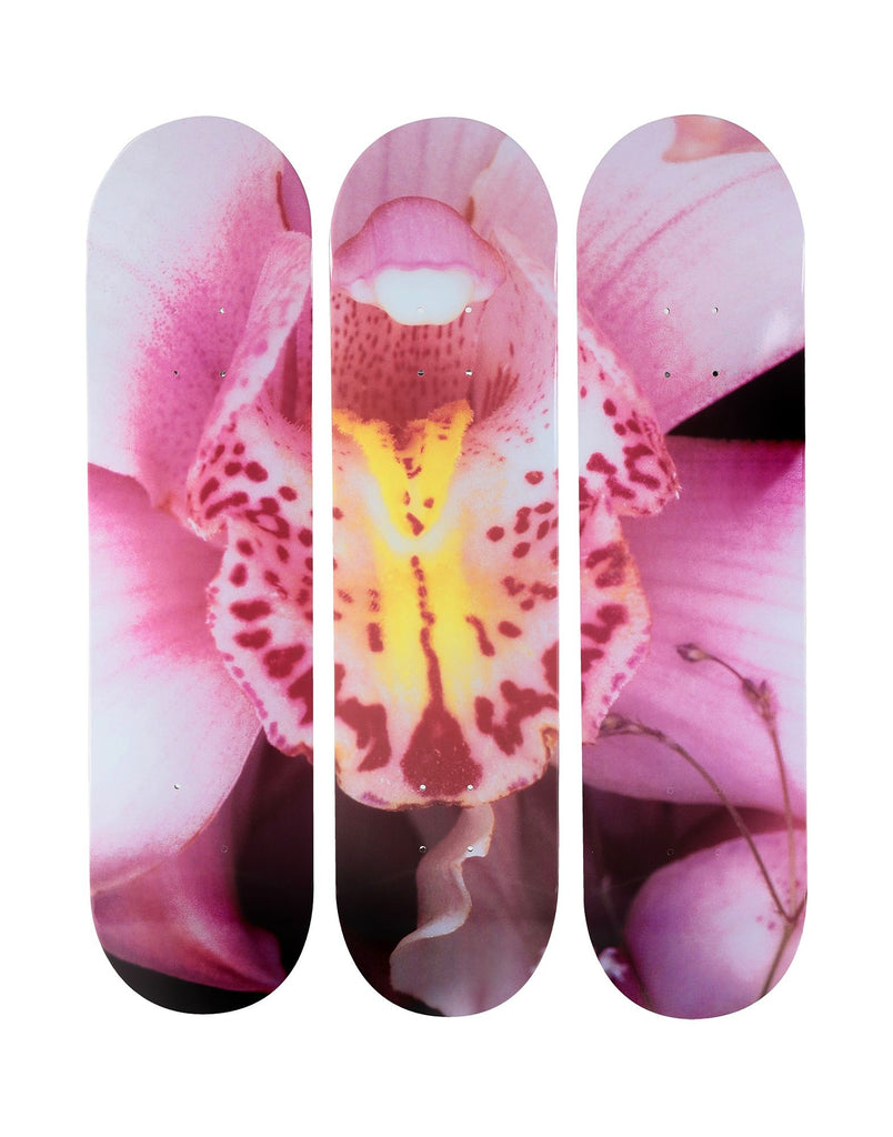 NOBUYOSHI ARAKI- ORCHID