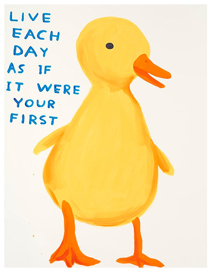 DAVID SHRIGLEY-LIVE EACH DAY AS IF IT WERE YOUR FIRST