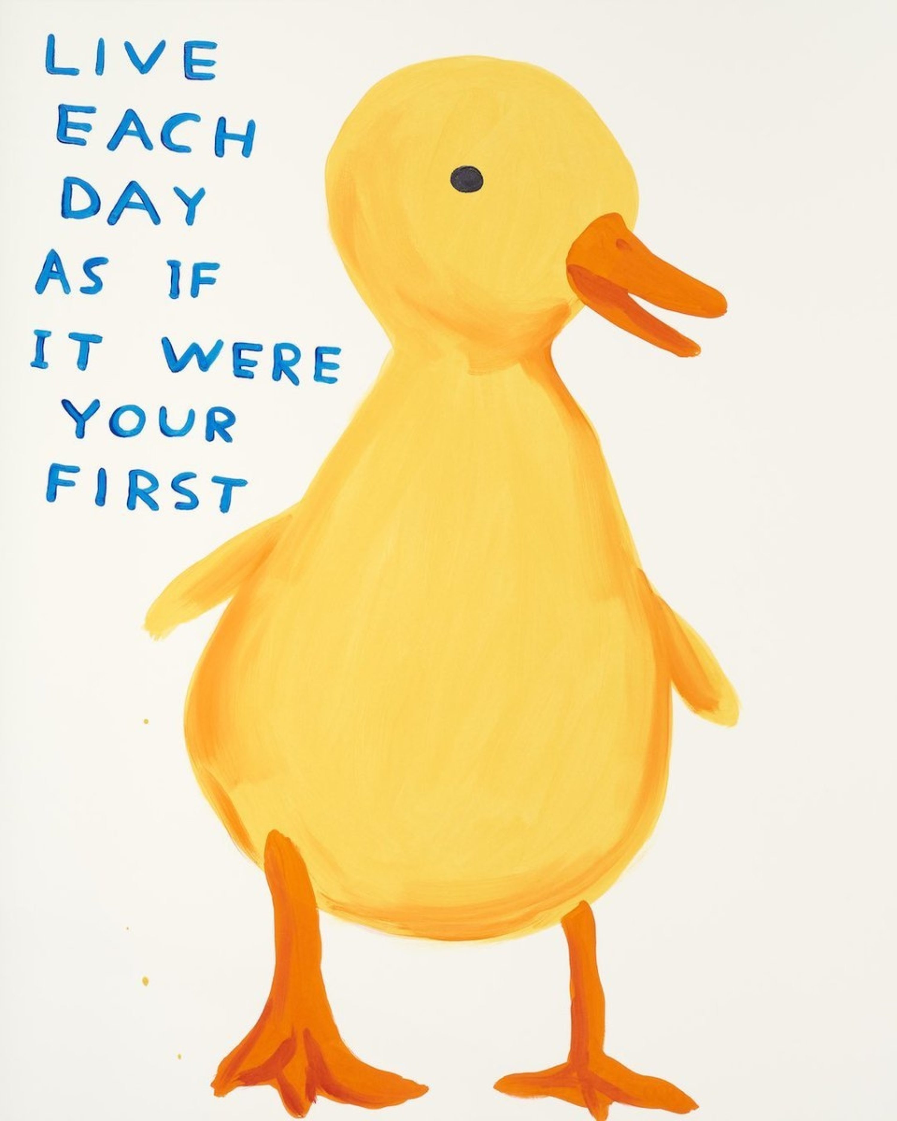 DAVID SHRIGLEY-LIVE EACH DAY AS IF IT WERE YOUR FIRST