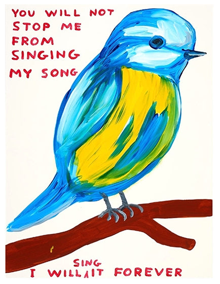 DAVID SHRIGLEY- YOU WILL NOT STOP ME FROM SINGING MY SONG