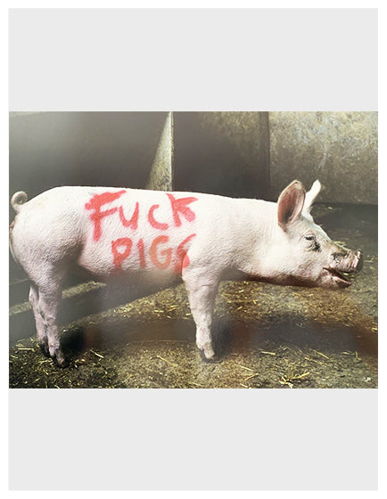 BANKSY” FUCK PIGS” HS BY LAZARIDES